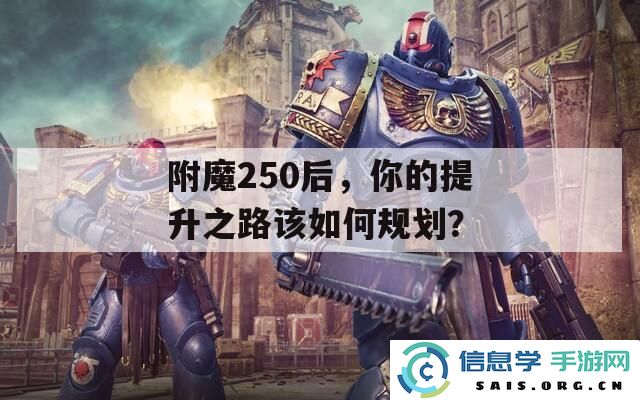 附魔250之后，如何有效规划个人提升之路，以实现更高目标？
